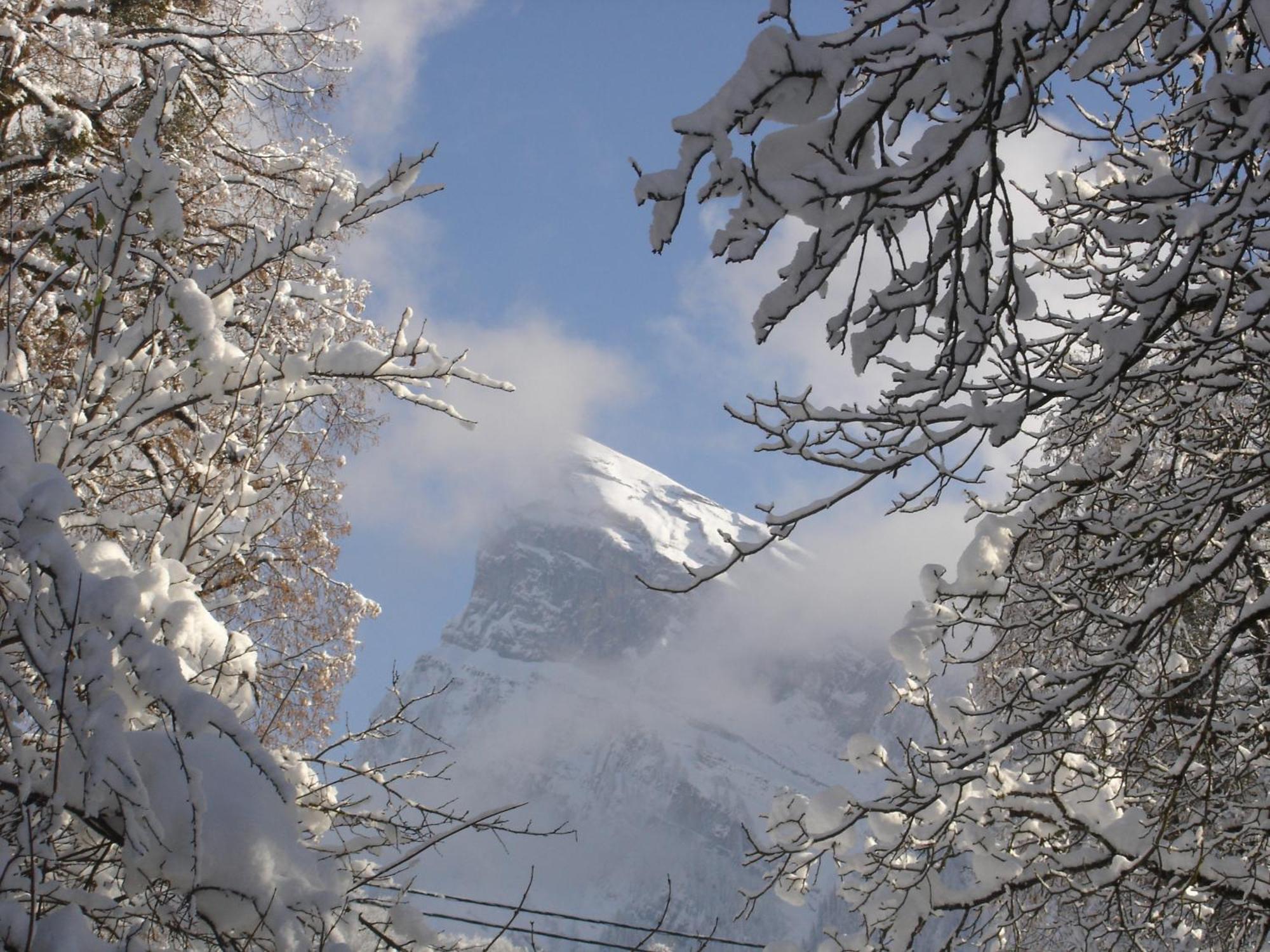 Edelweiss Samoëns